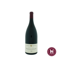 Afbeelding in Gallery-weergave laden, Bourgogne Cote d'Or - Domaine Forey Pere & Fils - 2022 - 1.5 L - Frankrijk - Bourgogne - Rood