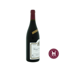 Laden Sie das Bild in den Galerie-Viewer, Gevrey Chambertin de la Brunelle - Domaine Joseph Roty - 2020 - 0.75L - Frankrijk - Bourgogne - Rood