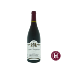 Load image into Gallery viewer, coteaux bourguignons - Domaine Joseph Roty - 2021 - 0.75 L - Frankrijk - Bourgogne - Rood