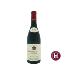 Load image into Gallery viewer, Bourgogne Pinot Noir - Domaine Bernard & Thierry Glantenay - 2021 - 0.75 L - Frankrijk - Bourgogne - Rood