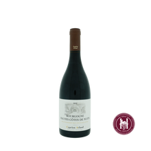 Laden Sie das Bild in den Galerie-Viewer, Bourgogne Hautes Cotes de Nuits - Cyprien Arlaud - 2022 - 0.75 L - Frankrijk - Bourgogne - Rood