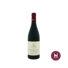 Afbeelding in Gallery-weergave laden, Santenay 1er cru les Gravieres rouge - Domaine Jessiaume - 2022 - 0.75 L - Frankrijk - Bourgogne - Rood