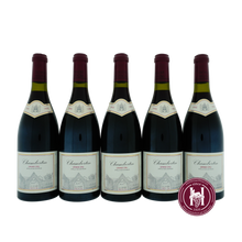 Laden Sie das Bild in den Galerie-Viewer, Chambertin Grand Cru - Domaine Bertagna - 1995 - 0.75 L - Frankrijk - Bourgogne - Rood