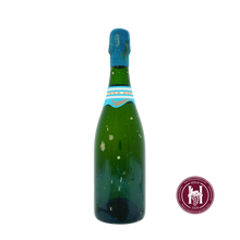 Laden Sie das Bild in den Galerie-Viewer, Vikka Blanc de Blancs G.C. - Champagne M. Hostomme - 2009 - 0.75L - Frankrijk - Champagne - Wit - HermanWines