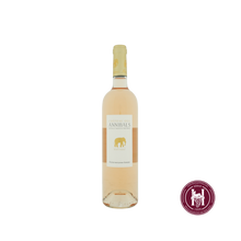 Laden Sie das Bild in den Galerie-Viewer, Suivez Moi Jeune Homme Rose - Domaine des Annibals - 2025 - 0.75 L - Frankrijk - Provence - Rosé
