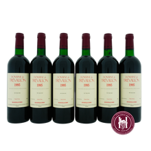 Afbeelding in Gallery-weergave laden, Trevallon Rouge - Domaine de Trévallon - 1995 - 0.75 L - Frankrijk - Rhône - Rood