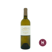 Afbeelding in Gallery-weergave laden, Vin De Pays Des Cotes de Gascogne Gros Manseng Moelleux - Domaine de Millet - 2023 - 0.75 L - Frankrijk - Zuidwesten - Wit