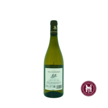 Laden Sie das Bild in den Galerie-Viewer, Hill Pinot Grigio - Nals Margreid - 2023 - 0.75 L - Italië - Zuid-tirol trentino bolzano - Wit