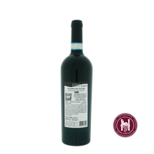 Charger l'image dans la galerie, Titolo by Amphora Aglianico del Vulture DOC - Elena Fucci - 2020 - 0.75L - Italië - Basilicata - Rood