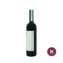 Load image into Gallery viewer, Carema DOC - SorPasso - 2021 - 0.75 L - Italië - Piëmonte - Rood