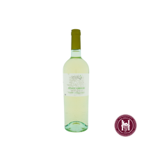 Afbeelding in Gallery-weergave laden, Pinot Grigio Sottoriva - Bixio - 2024 - 0.75 L - Italië - Veneto - Wit