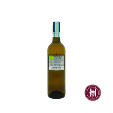 Charger l'image dans la galerie, Pinot Grigio Vegan - La Jara - 2024 - 0.75 L - Italië - Veneto - Wit