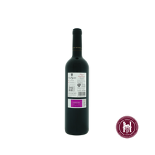 Load image into Gallery viewer, Pago de Santa Cruz - Bodegas Vina Sastre - 2022 - 0.75 L - Spanje - Ribera Del Duero - Rood