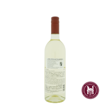 Charger l'image dans la galerie, Koshu Hishiyama Vineyard - Grace Wine - 2022 - 0.75L - Japan - Yamanashi - Wit