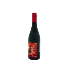 Afbeelding in Gallery-weergave laden, Neverwine smells like Garnacha (alcoholvrijewijn) - Gallina de Piel Wines - non-vintage - 0.75 L - Spanje - Catalonië - Rood