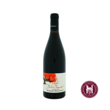 Load image into Gallery viewer, Beaujolais Villages cuvee Jules Chauvet - Robert-Denogent - 2019 - 0.75L - Frankrijk - Beaujolais - Rood - HermanWines