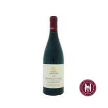 Laden Sie das Bild in den Galerie-Viewer, Santenay 1er cru les Gravieres rouge - Domaine Jessiaume - 2020 - 0.75L - Frankrijk - Bourgogne - Rood - HermanWines