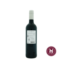 Afbeelding in Gallery-weergave laden, Cabernet Sauvignon - Guillaume Aurele, Vin De Pays D'Oc - 2021 - 0.75L - Frankrijk - Languedoc-Roussillon - Rood - HermanWines