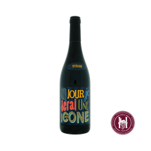 Load image into Gallery viewer, Un jour je serai une icone - Jeff Carrel - 2019 - 0.75L - Frankrijk - Languedoc-Roussillon - Rood - HermanWines