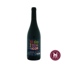 Load image into Gallery viewer, Un jour je serai une icone - Jeff Carrel - 2019 - 0.75L - Frankrijk - Languedoc-Roussillon - Rood - HermanWines