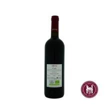 Charger l'image dans la galerie, Ciro Classico Superiore Riserva - A Vita - 2017 - 0.75L - Italië - Calabria - Rood - HermanWines