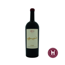 Load image into Gallery viewer, Ciro Classico Superiore Riserva - A Vita - 2015 - 1.5L - Italië - Calabria - Rood - HermanWines