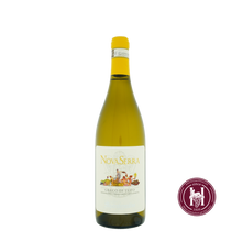 Afbeelding in Gallery-weergave laden, Novaserra Greco di Tufo - Mastroberardino - 2021 - 0.75L - Italië - Campania - Wit - HermanWines