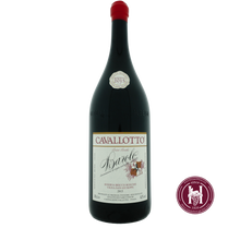 Load image into Gallery viewer, Barolo Bricco Boschis vigna San Giuseppe Riserva - Cavallotto - 2015 - 3.0L - Italië - Piëmonte - Rood - HermanWines