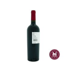 Laden Sie das Bild in den Galerie-Viewer, Cabernet Sauvignon Sottoriva - Bixio - 2019 - 0.75L - Italië - Veneto - Rood - HermanWines