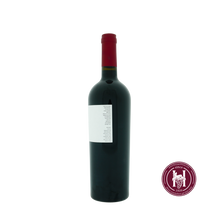 Laden Sie das Bild in den Galerie-Viewer, Cabernet Sauvignon Sottoriva - Bixio - 2019 - 0.75L - Italië - Veneto - Rood - HermanWines