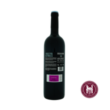 Load image into Gallery viewer, Astrales Christina - Bodegas Los Astrales - 2018 - 0.75L - Spanje - Ribera Del Duero - Rood - HermanWines