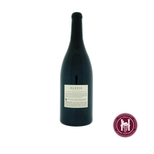 Laden Sie das Bild in den Galerie-Viewer, Alesia Pinot Noir Santa Cruz Mountains - Rhys Vineyards - 2017 - 0.75L - Usa - Californië - Rood - HermanWines