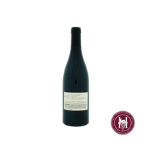 Load image into Gallery viewer, Mt. Pajaro Vineyard Pinot Noir Santa Cruz Mountains - Rhys Vineyards - 2018 - 0.75L - Usa - Californië - Rood - HermanWines