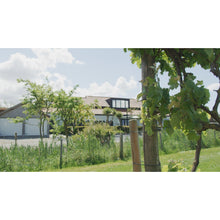 Afbeelding in Gallery-weergave laden, SommelierBox De Kromme Watergang PREMIUM - HermanWines