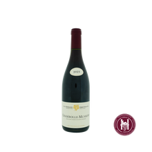 Laden Sie das Bild in den Galerie-Viewer, Chambolle Musigny - Domaine Forey Pere &amp; Fils - 2023 - 0.75 L - Frankrijk - Bourgogne - Rood
