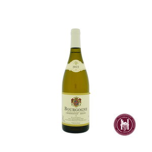 Bourgogne blanc Magny - Domaine Jean Javillier & Fils - 2023 - 0.75 L - Frankrijk - Bourgogne - Wit