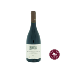 Afbeelding in Gallery-weergave laden, Chambolle Musigny - Domaine Arlaud - 2021 - 0.75 L - Frankrijk - Bourgogne - Rood

