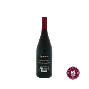 Pinot Noir En Coteaux - Jeff Carrel - 2022 - 0.75 L - Frankrijk - languedoc-roussillon - Rood