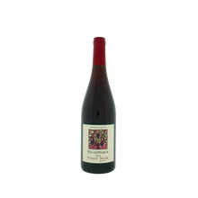 Load image into Gallery viewer, Pinot Noir En Coteaux - Jeff Carrel - 2024 - 0.75 L - Frankrijk - Languedoc-Roussillon - Rood
