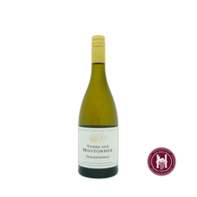 Afbeelding in Gallery-weergave laden, Terre de Moutonnes Chardonnay - Alma Cersius - 2023 - 0.75 L - Frankrijk - Languedoc-Roussillon - Wit
