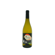 Afbeelding in Gallery-weergave laden, Plein la Vue Jeff Carrel - Jeff Carrel - 2024 - 0.75 L - Frankrijk - Languedoc-Roussillon - Wit
