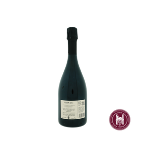 Anterse Metodo Classico Extra Brut - Brovia - 2019 - 0.75 L - Italië - Piëmonte - Wit