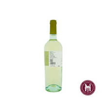 Afbeelding in Gallery-weergave laden, Pinot Grigio Sottoriva - Bixio - 2024 - 0.75 L - Italië - Veneto - Wit
