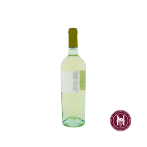 Pinot Grigio Sottoriva - Bixio - 2024 - 0.75 L - Italië - Veneto - Wit