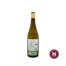 Laden Sie das Bild in den Galerie-Viewer, Sapientia Verdejo  - Bodegas Moha - 2023 - 0.75 L - Spanje - Rueda - Wit
