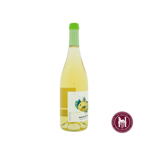 Masia Oliveda blanco - Grup Oliveda - 2023 - 0.75 L - Spanje - Catalonië - Wit