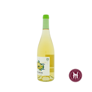 Masia Oliveda blanco - Grup Oliveda - 2023 - 0.75 L - Spanje - Catalonië - Wit