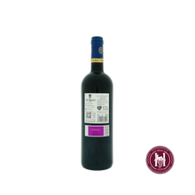 Laden Sie das Bild in den Galerie-Viewer, Rafael Sastre Roble - Bodegas Vina Sastre - 2023 - 0.75 L - Spanje - Ribera Del Duero - Rood
