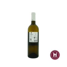 Charger l'image dans la galerie, Flavus Lías - Bodegas Vina Sastre - 2020 - 0.75 L - Spanje - Ribera Del Duero - Wit
