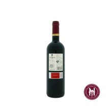 Afbeelding in Gallery-weergave laden, Crianza - Bodegas Vina Sastre - 2022 - 0.75 L - Spanje - Ribera Del Duero - Rood
